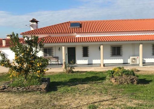 CASA G&Eacute;MEA